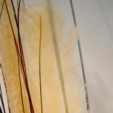 Apartman Boho Albufeira