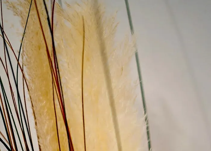 Apartment Boho Albufeira